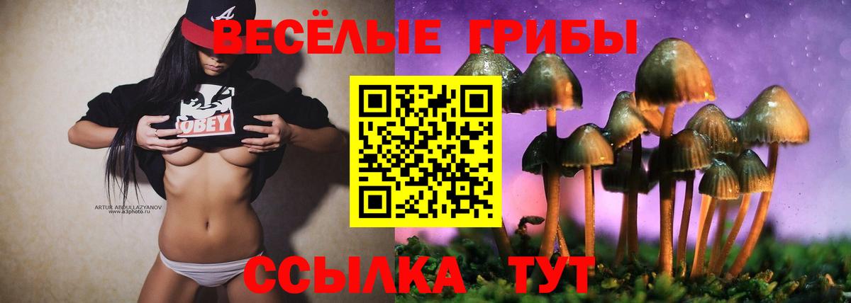 Галлюциногенные грибы GOLDEN TEACHER  Псилоцибиновые грибы MAGIC MUSHROOMS  Новодвинск  закладки  Вход с VPN 
